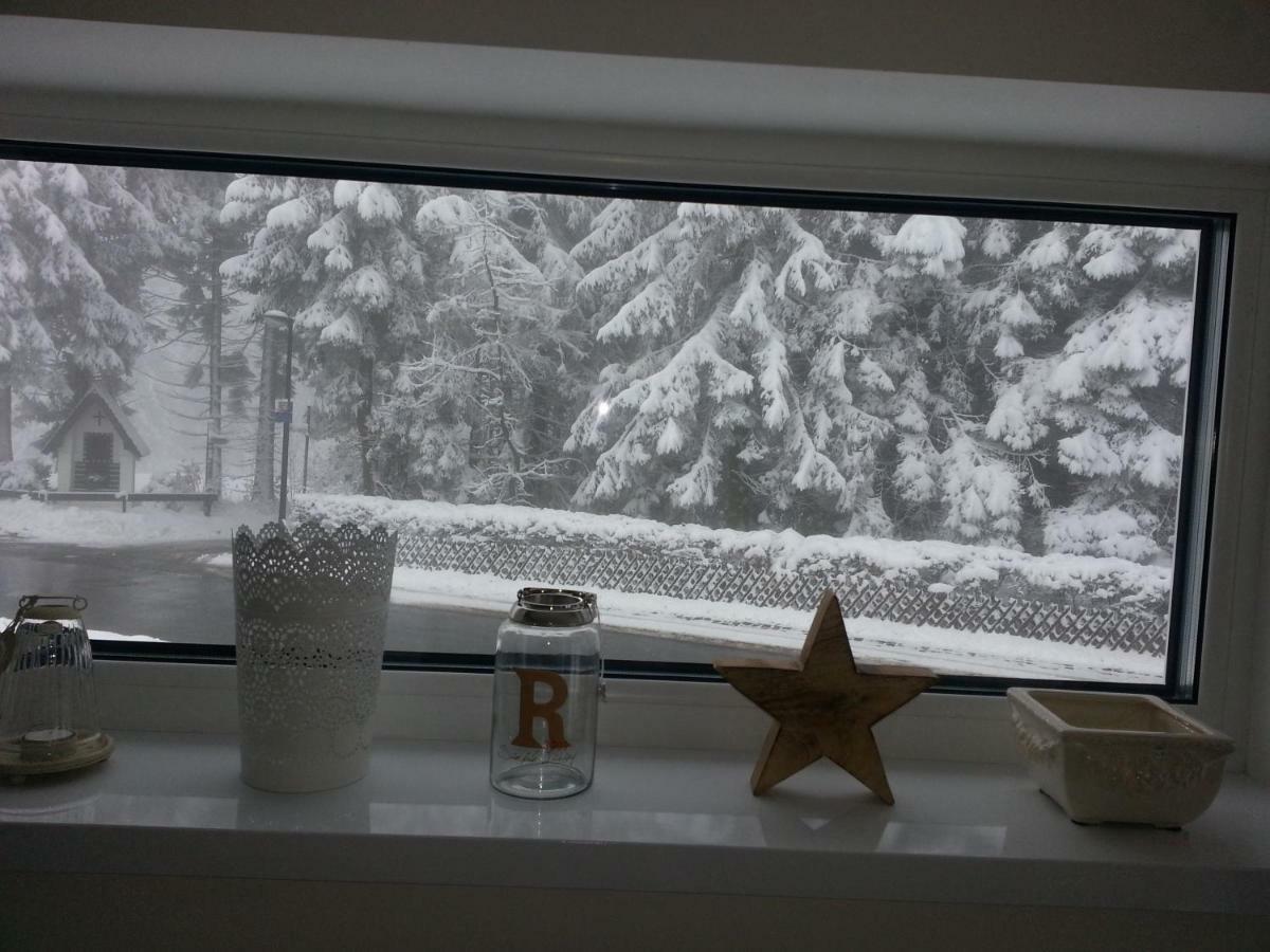 Ferienhaus Bergidylle Winterberg Bagian luar foto