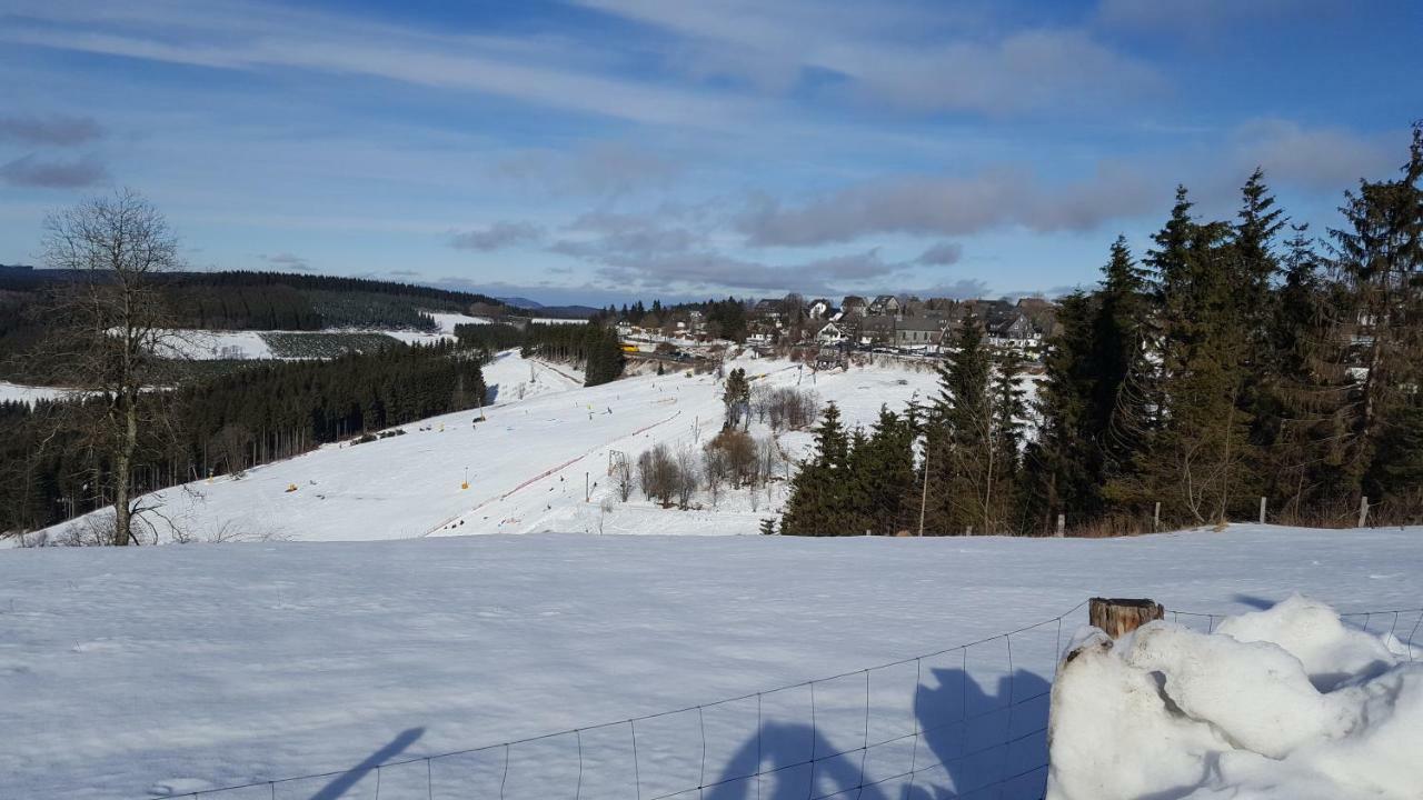 Ferienhaus Bergidylle Winterberg Bagian luar foto