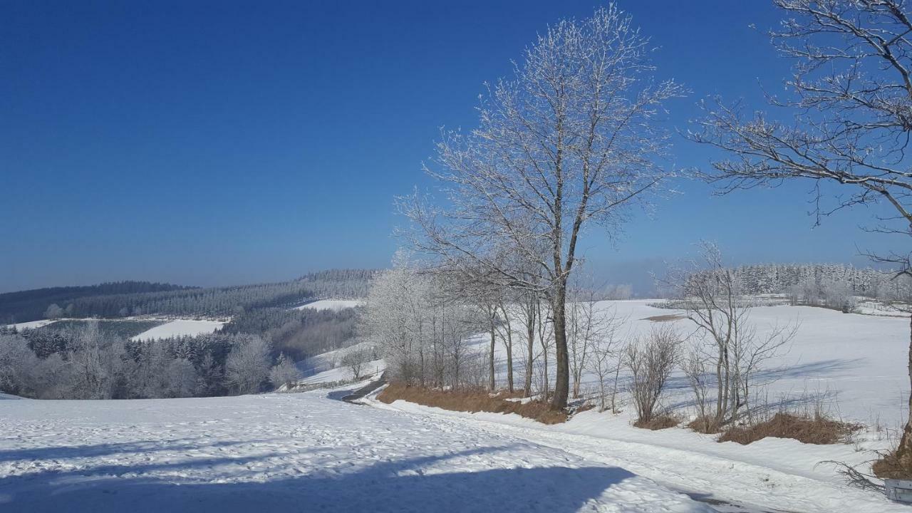 Ferienhaus Bergidylle Winterberg Bagian luar foto