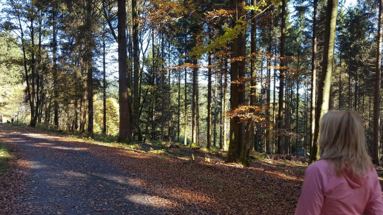 Ferienhaus Bergidylle Winterberg Bagian luar foto