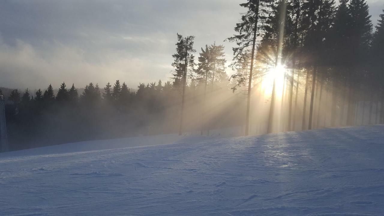 Ferienhaus Bergidylle Winterberg Bagian luar foto