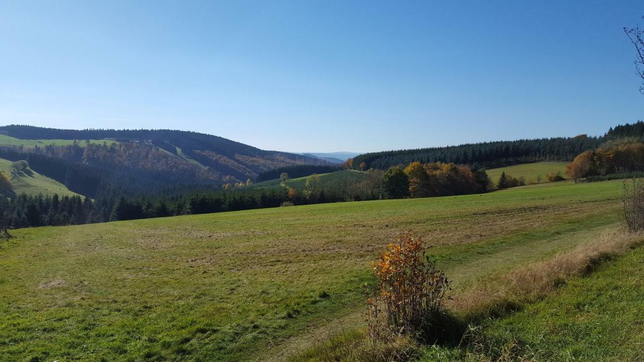 Ferienhaus Bergidylle Winterberg Bagian luar foto