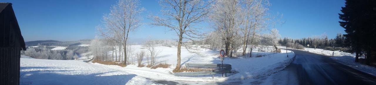 Ferienhaus Bergidylle Winterberg Bagian luar foto