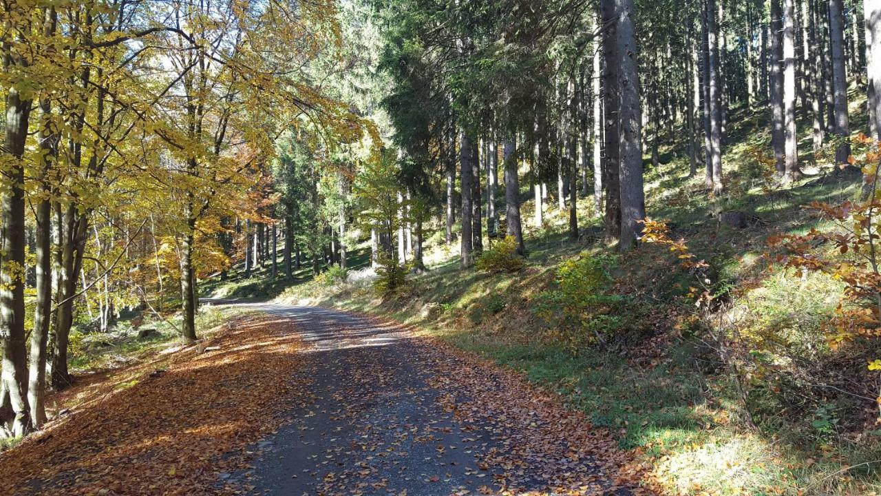 Ferienhaus Bergidylle Winterberg Bagian luar foto