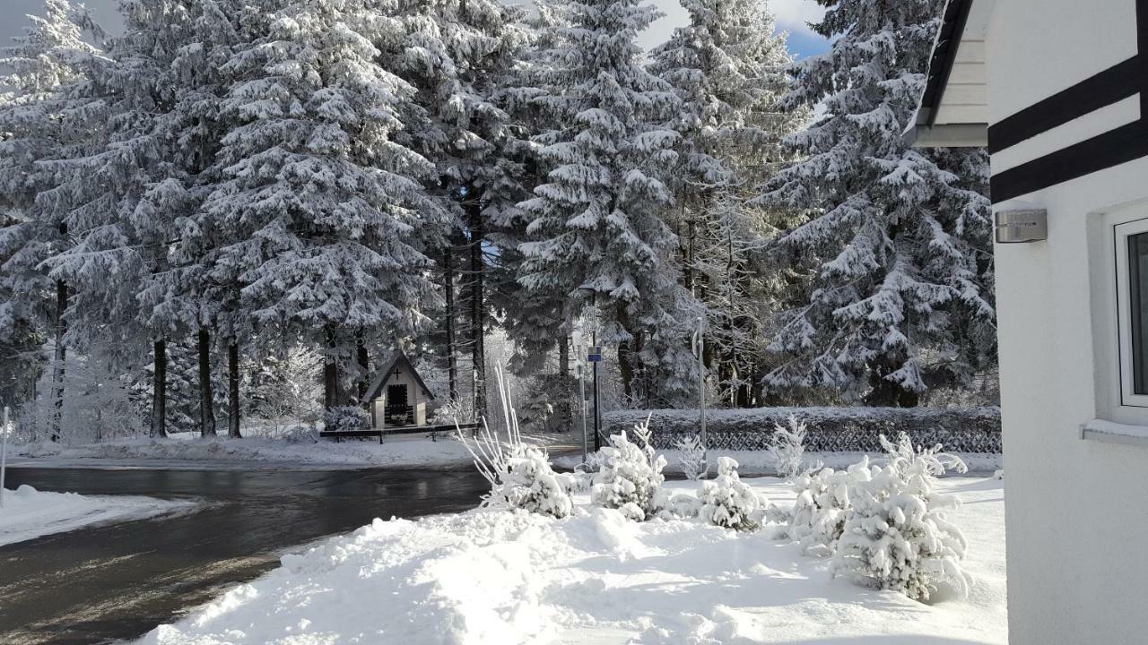 Ferienhaus Bergidylle Winterberg Bagian luar foto