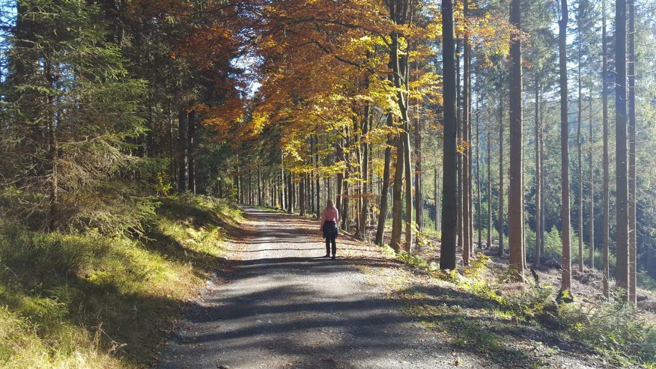 Ferienhaus Bergidylle Winterberg Bagian luar foto