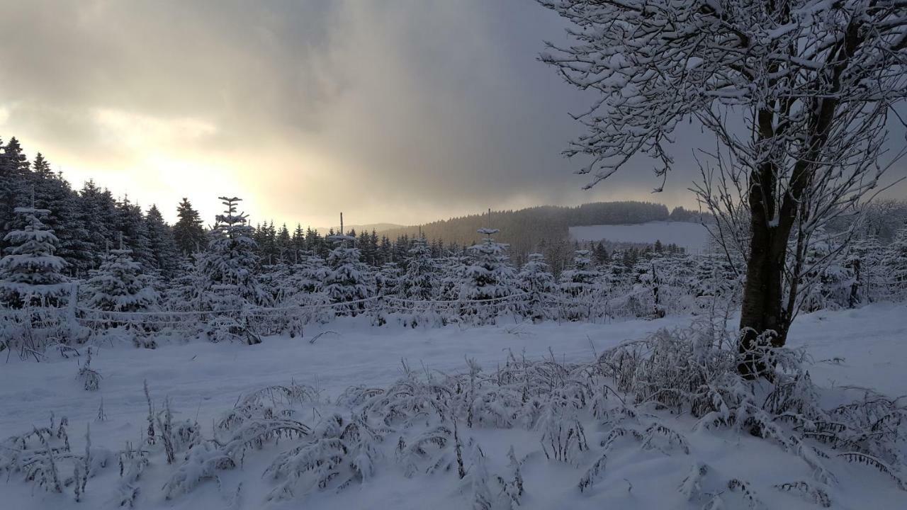 Ferienhaus Bergidylle Winterberg Bagian luar foto