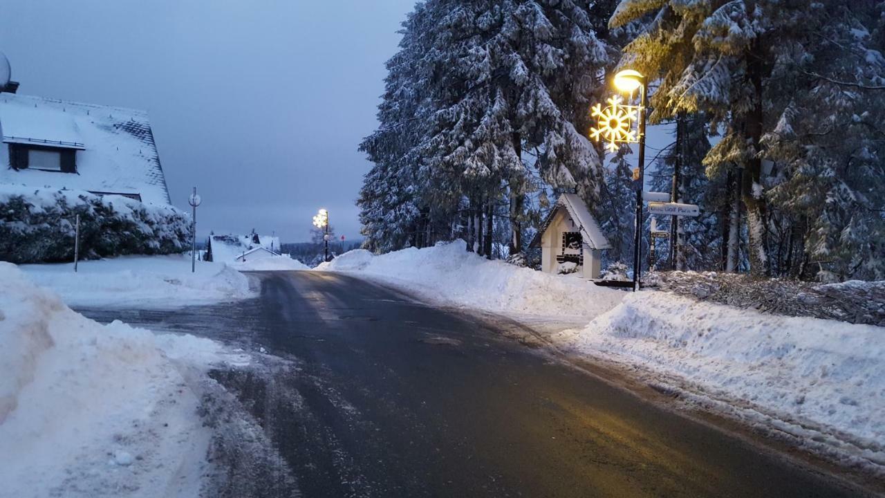 Ferienhaus Bergidylle Winterberg Bagian luar foto